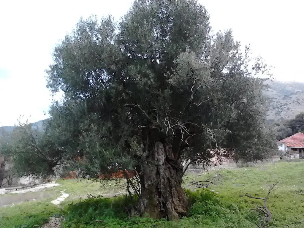 Evangelia Agia Efimia Greece